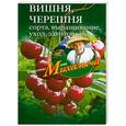 russische bücher: Звонарев Н. - Вишня, черешня.Сажаем, выращиваем, заготавливаем