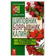 russische bücher: Нестерова А.В. - Природный защитник. Шиповник, боярышник, калина в очищении и восстановлении организма