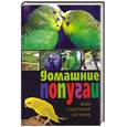 russische bücher: Казакова В. - Домашние попугаи. Виды, содержание, обучение