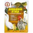 russische bücher: Михайлова Т. - Домашняя птица в личном хозяйстве
