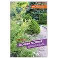 russische bücher: Марковский Ю.Б. - Лучшие хвойные растения в дизайне сада