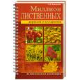 russische bücher: Кузнецова Н. - Миллион лиственных деревьев и кустарников