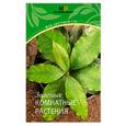 russische bücher:  - Зеленые комнатные растения