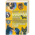 russische bücher: Скиба Т. - Собака. Полное руководство по содержанию и уходу