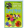 russische bücher: Шпурт Т. - Бумажные цветы в технике оригами