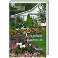 russische bücher: Сейфулина Р. - Садовые растения