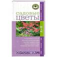 russische bücher:  - Садовые цветы.Ваш мини-эксперт
