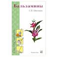 russische bücher: Швелидзе С. - Бальзамины
