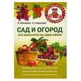 russische bücher: Власенко Е. - Сад и огород Как вырастить за один сезон