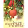 russische bücher: Яковлева Ольга Владимировна - Практическая энциклопедия огородника.