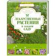 russische bücher: Ильина Т.А. - Лекарственные растения в вашем саду. Большая иллюстрированная энциклопедия