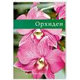 russische bücher: Донюшкина Е.А. - Орхидеи