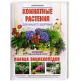 russische bücher: Цицилин А.Н. - Комнатные растения для вашего здоровья. Выращивание, уход и целебный  эффект. Полная энциклопедия