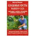 russische bücher: Жвакин В.В. - Плодовые кусты вашего сада