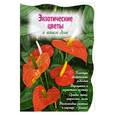 russische bücher: Власова Н. - Экзотические цветы в вашем доме