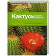 russische bücher: Улиг М. - Кактусы и другие суккуленты