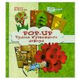 russische bücher: Соколова О. - Pop-up. Чудеса бумажного декора