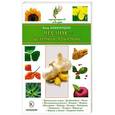 russische bücher: Башкирцева Нина - Чеснок - целебная приправа
