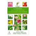 russische bücher: Башкирцева Нина - Растения против болезней суставов