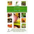 russische bücher: Нилова Д. - Растения-антивирусы. Гриппу-бой! Быстрое и надежное лечение вирусных заболеваний