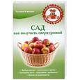 russische bücher: Агишева Татьяна - Сад. Как получить сверхурожай