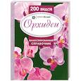 russische bücher: Франк Релльке - Орхидеи. Иллюстрированный справочник. 200 видов