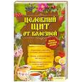 russische bücher: Вересова А. - Целебный щит от болезней. Книга, которая лечит