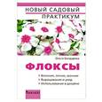 russische bücher: Ольга Бондарева - Флоксы