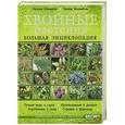 russische bücher: Наталия Шевырева, Татьяна Коновалова - Хвойные растения. Большая энциклопедия
