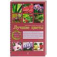 russische bücher: Волкова Е.А. - Лучшие цветы. Цветение в доме круглый год
