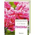 russische bücher: Павлова Л.А. - Пионы