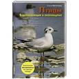 russische bücher: Митителло Ксения - Птицы. Водоплавающие и околоводные