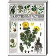 russische bücher:  - Большая иллюстрированная энциклопедия. Лекарственные растения