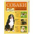 russische bücher: Владимир Круковер - Собаки. Самая полная энциклопедия