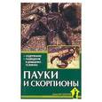 russische bücher: Чегодаев А.Е. - Пауки и скорпионы