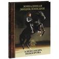 russische bücher: Невзоров А.Г. - Лошадиная энциклопедия Александра Невзорова