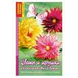 russische bücher: Тойбнер Армин - Цветы и игрушки из декоративной бумаги. Оригинальные идеи для украшения интерьера