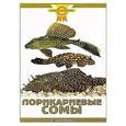 russische bücher: Гуржий А.Н. - Лорикариевые сомы