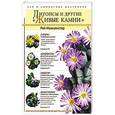 russische bücher: Рой Макалистер - Литопсы и другие "живые камни"