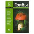 russische bücher:  - Мини-энциклопедия. Грибы
