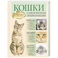 russische bücher: Светлана Дудникова, Ольга Есауленко - Кошки. Самая полная энциклопедия