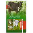 russische bücher:  - Козы, овцы. Разведение и уход