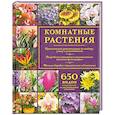 russische bücher: Тролль А. - Комнатные растения. Иллюстрированный справочник