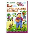 russische bücher: Курдюмов Н. - Умный виноградник в картинках. Как лучше посадить виноград