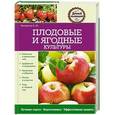 russische bücher: Вечерина Елена Юрьевна - Плодовые и ягодные культуры