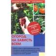 russische bücher: Петрушкова В.И. - Огород на зависть всем