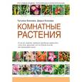 russische bücher: Князева Т.П., Князева Д.В. - Комнатные растения