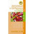 russische bücher: Довганюк А.И., Степанова Е.А. - Деревья и кустарники в саду