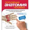 russische bücher: Эшвелл К. - Популярная анатомия человека. Подробное иллюстрированное руководство с тестами для самоконтроля