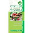 russische bücher: М. Лацис - Овощи и пряные травы